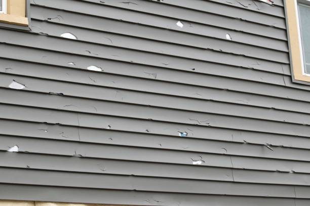 Historical Building Siding Restoration in Foresthill, CA